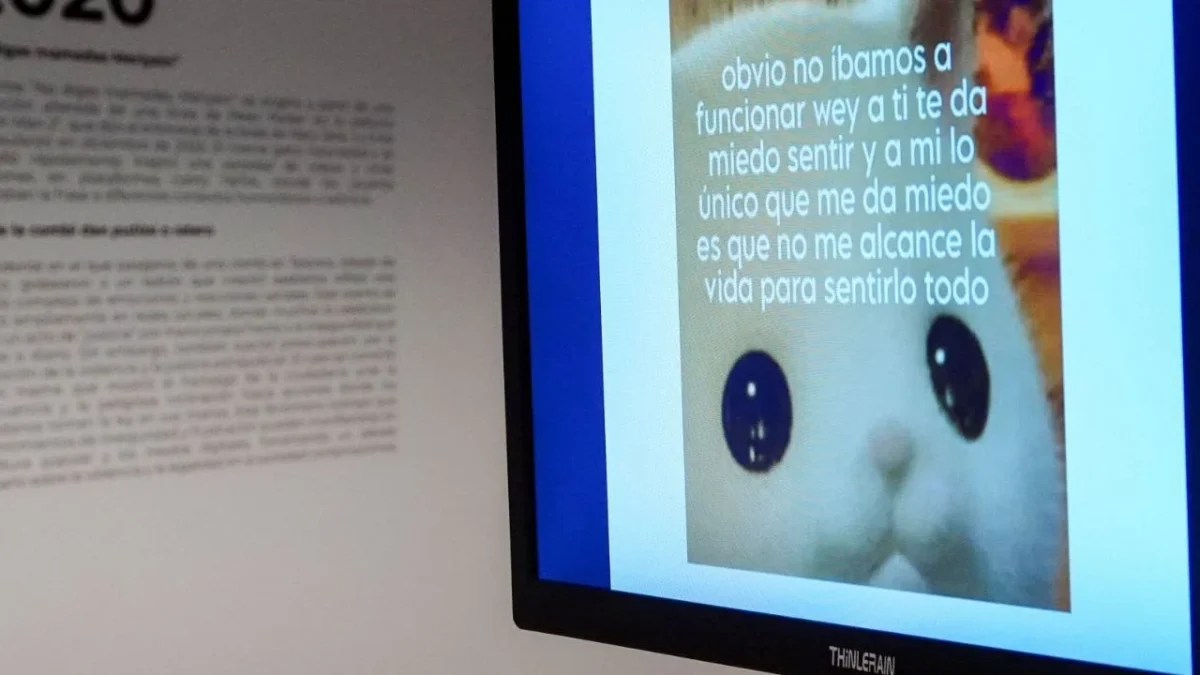 Morena rechaza imponer cárcel por hacer memes