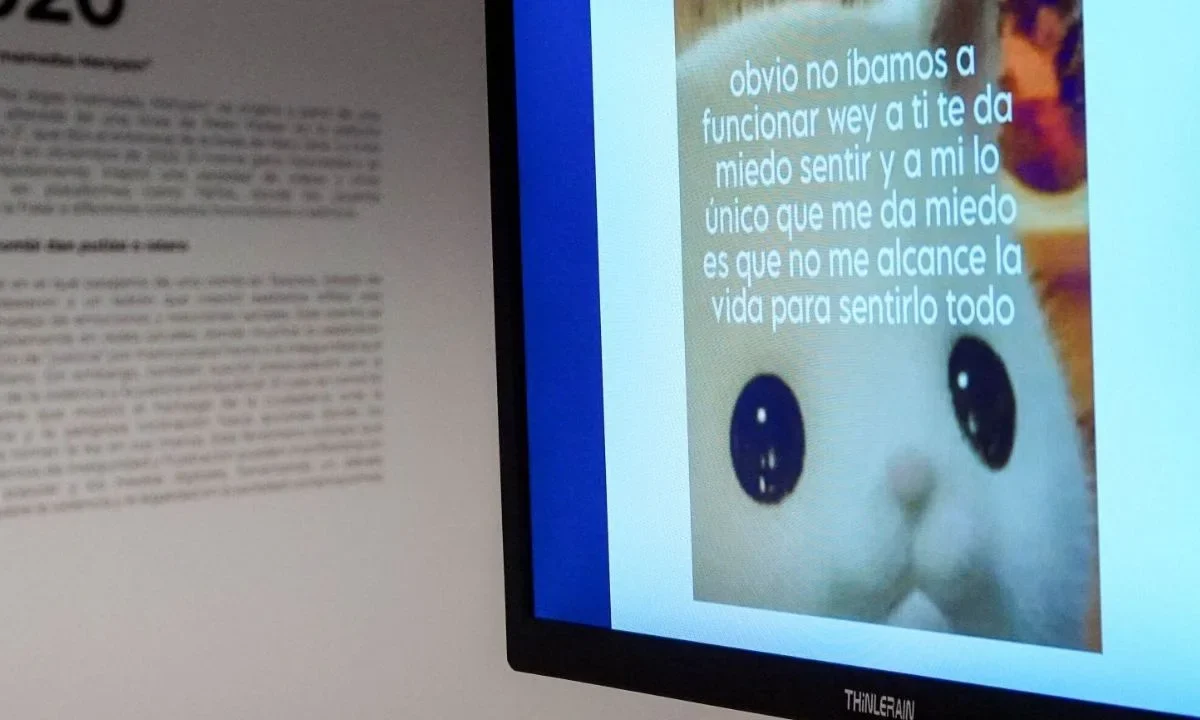 Morena rechaza imponer cárcel por hacer memes