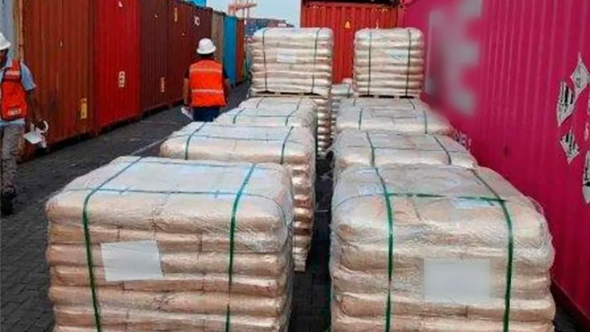 En la Aduana de Manzanillo se identificó la importación de dextrosa anhidra, una sustancia química usada para cortar o diluir drogas ilícitas