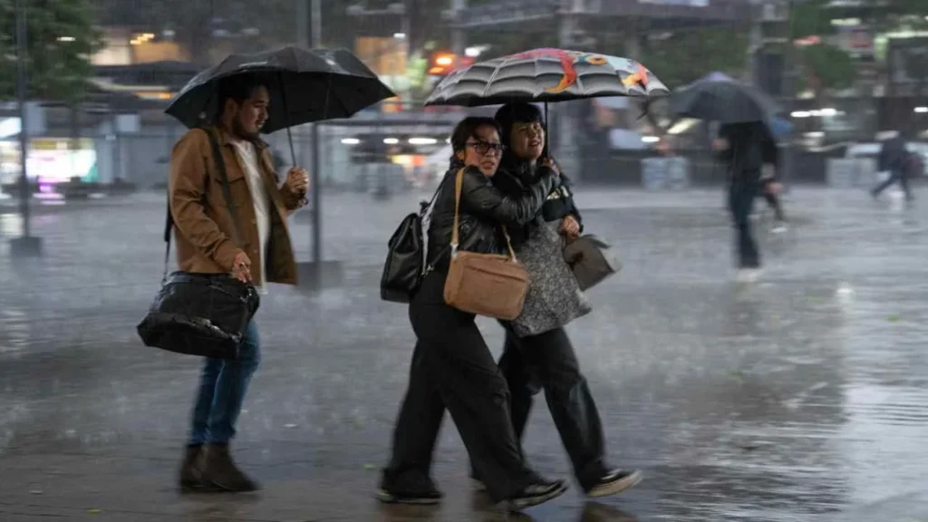 lluvia Startup Renaissance