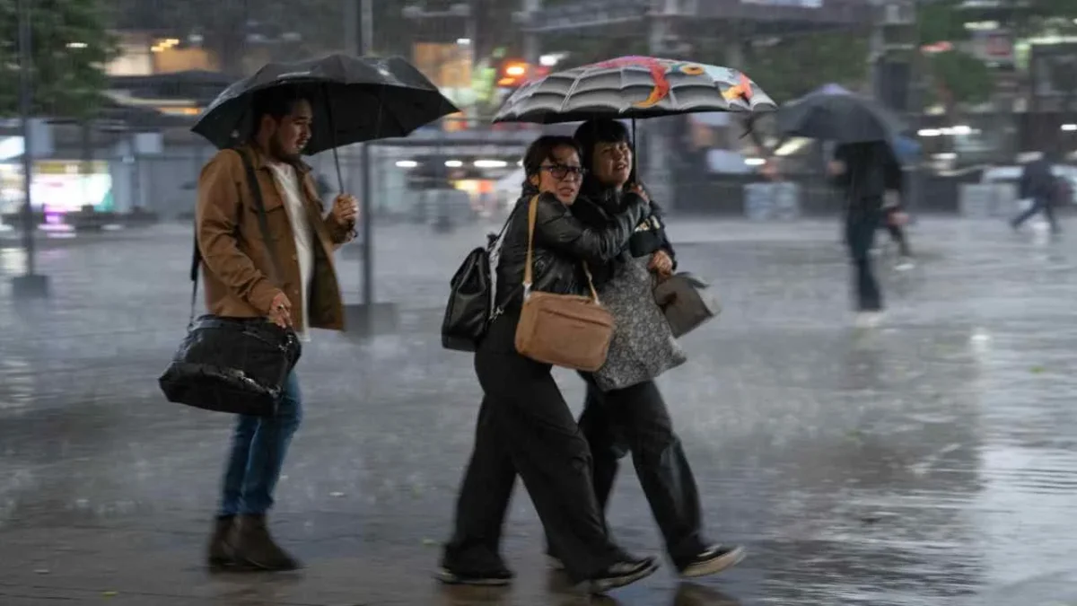 lluvia Startup Renaissance