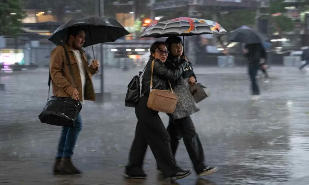 lluvia Startup Renaissance