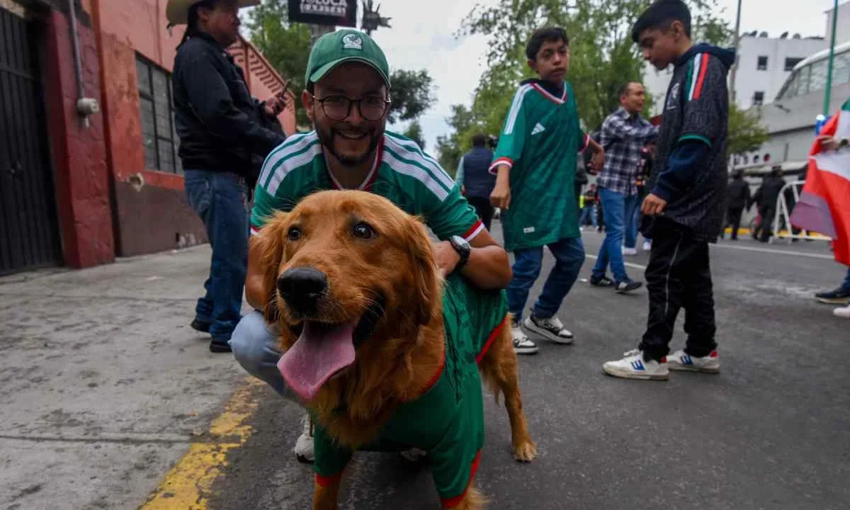 ¿Cómo hacer partícipe a tus animales de compañía en el Simulacro Nacional 2026? Aquí te contamos.