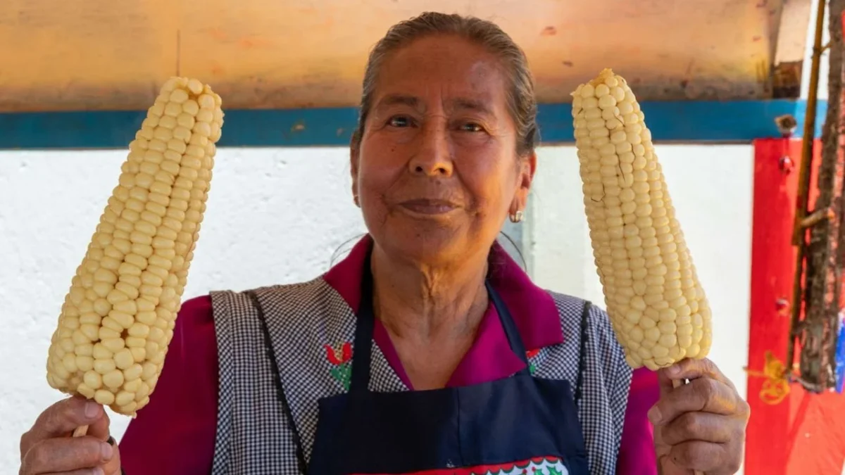 Si piensas festejar las fiestas patrias en Cuernavaca y en tu menú están los elotes preparados, piénsalo dos veces. Descubre la razón.