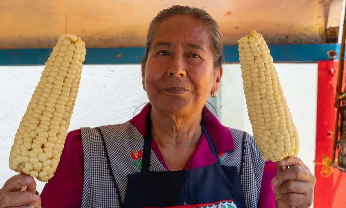 Si piensas festejar las fiestas patrias en Cuernavaca y en tu menú están los elotes preparados, piénsalo dos veces. Descubre la razón.