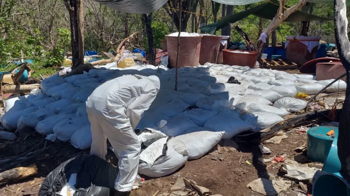 La DEA reconoció que, en poco más de una semana, las autoridades mexicanas desmantelaron ocho laboratorios significativos de metanfetamina.