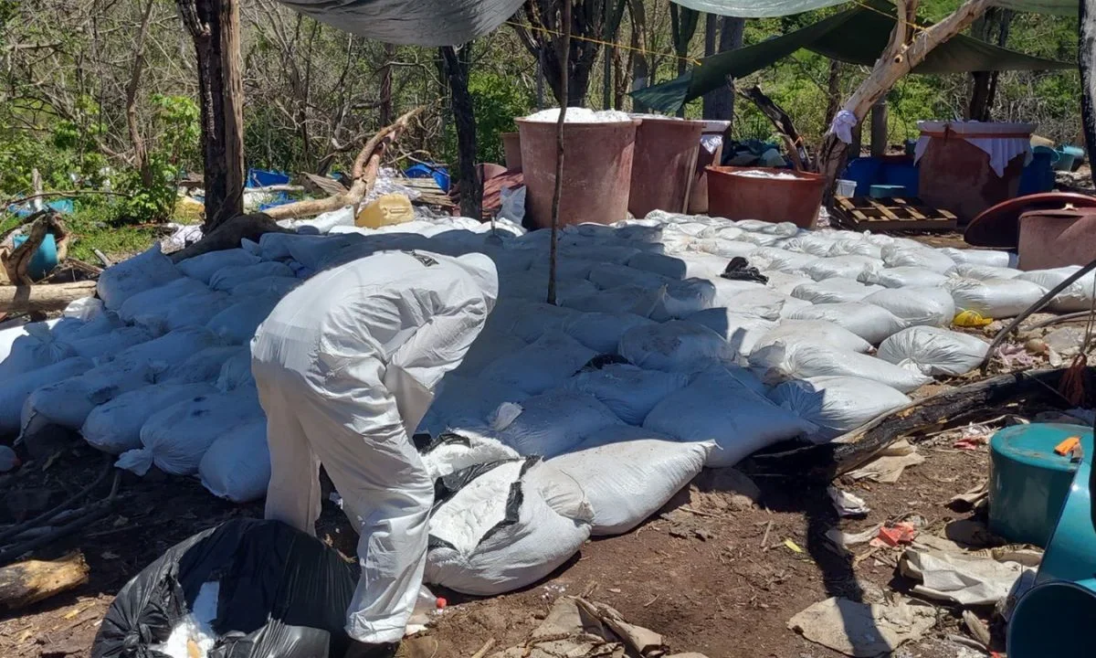 La DEA reconoció que, en poco más de una semana, las autoridades mexicanas desmantelaron ocho laboratorios significativos de metanfetamina.