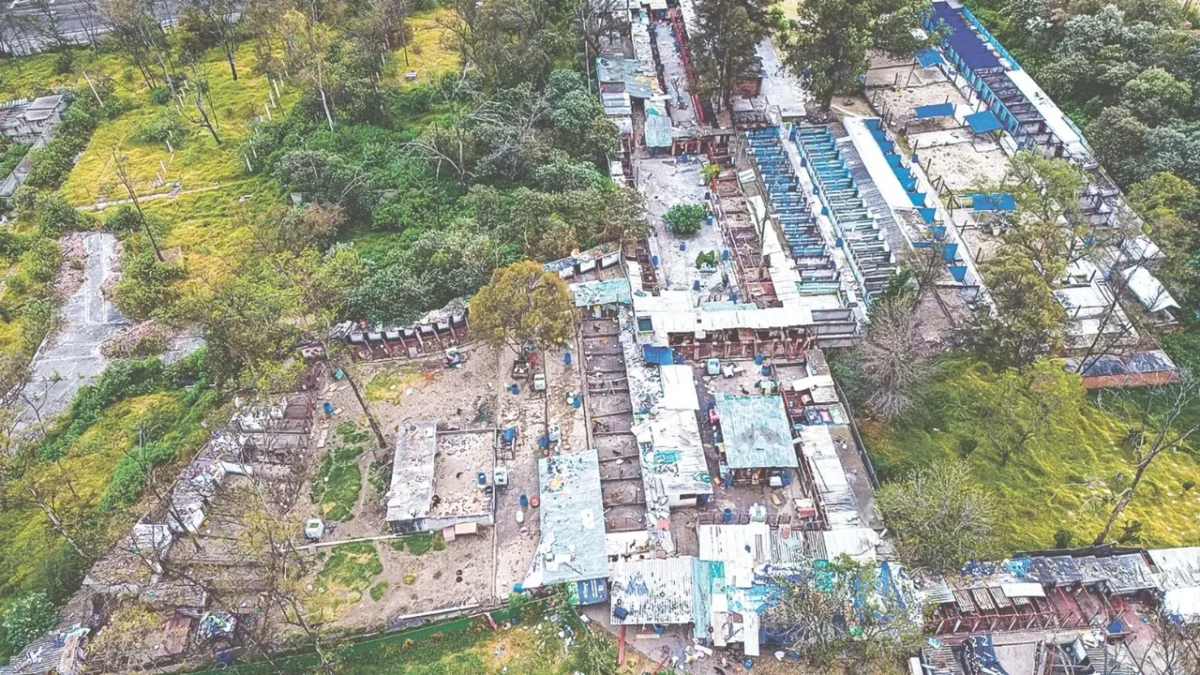 Postura. El abogado del Refugio Franciscano, Fernando Pérez Correa, dijo que están abiertos al proceso de adopción de animales.