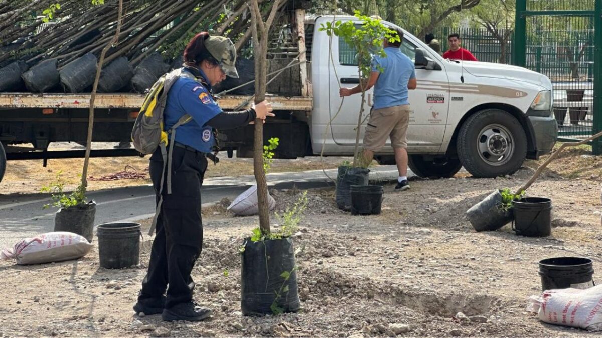 Los trabajos de reforestación, implementados por el Gobierno de Monterrey, se realizaron en la colonia Topo Chico.