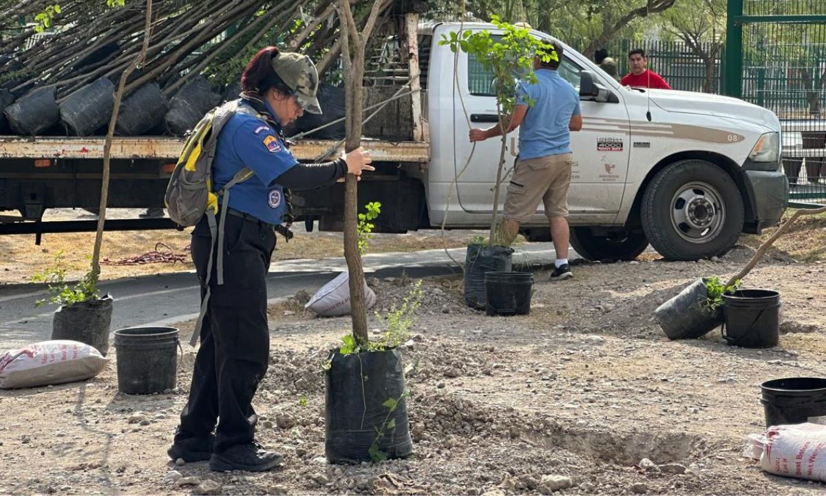 Los trabajos de reforestación, implementados por el Gobierno de Monterrey, se realizaron en la colonia Topo Chico.