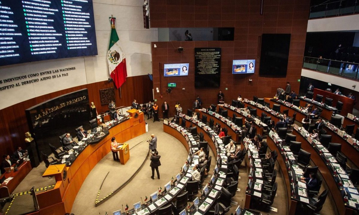 Pese a las advertencias de la oposición, el Senado aprobó la llamada Ley Antimemes y la envió a la Cámara de Diputados para su revisión. 