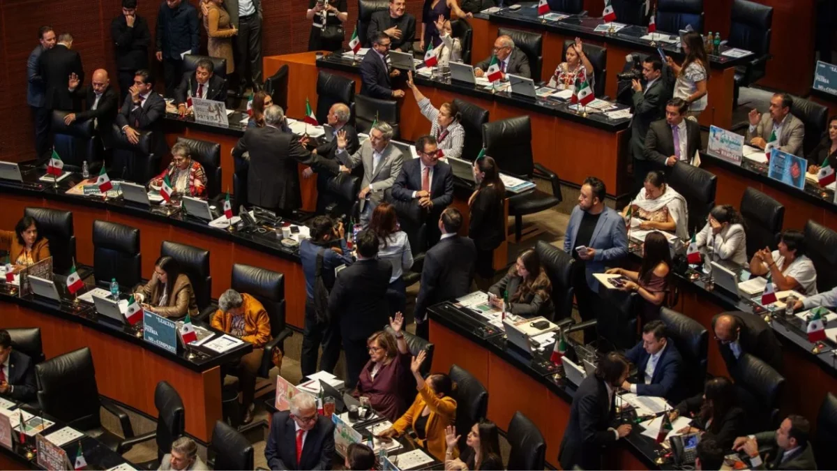 El Senado de la República aprobó la expedición de la Ley General en Materia de Bienestar, Cuidado y Protección de los Animales.