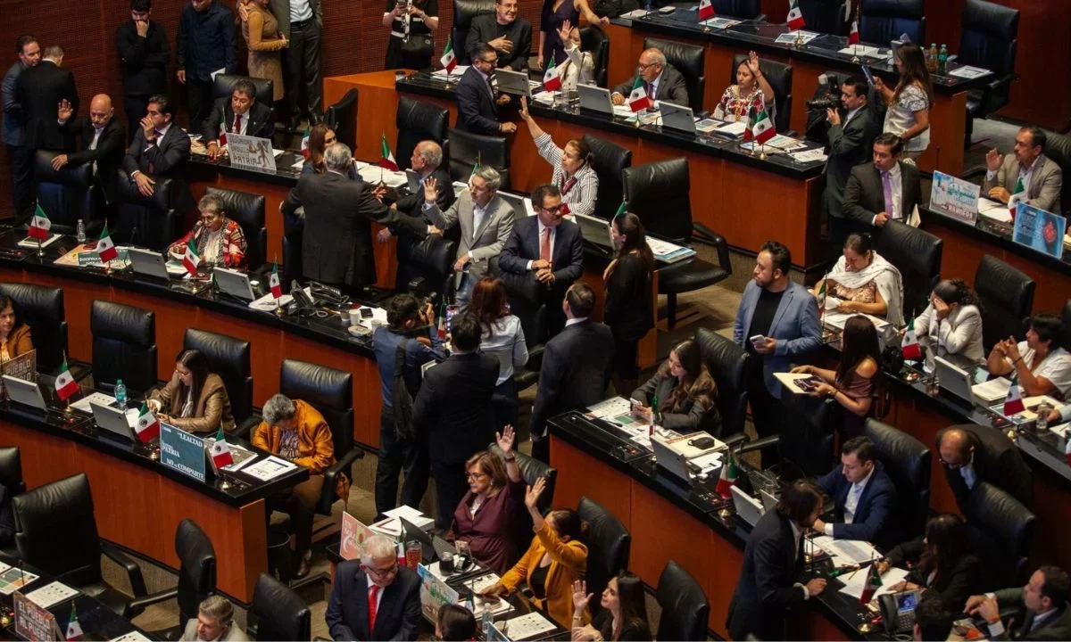 El Senado de la República aprobó la expedición de la Ley General en Materia de Bienestar, Cuidado y Protección de los Animales.