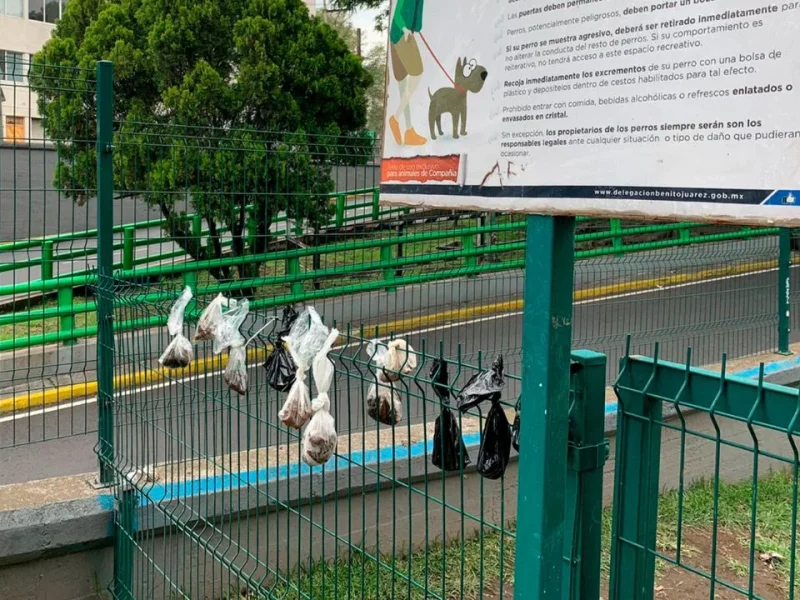 ‘Urge un sistema para manejar toneladas diarias de heces de perros en CDMX’