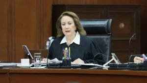Yasmín Esquivel se pronunció porque las acciones afirmativas en materia electoral garanticen representación a personas discapacitadas.