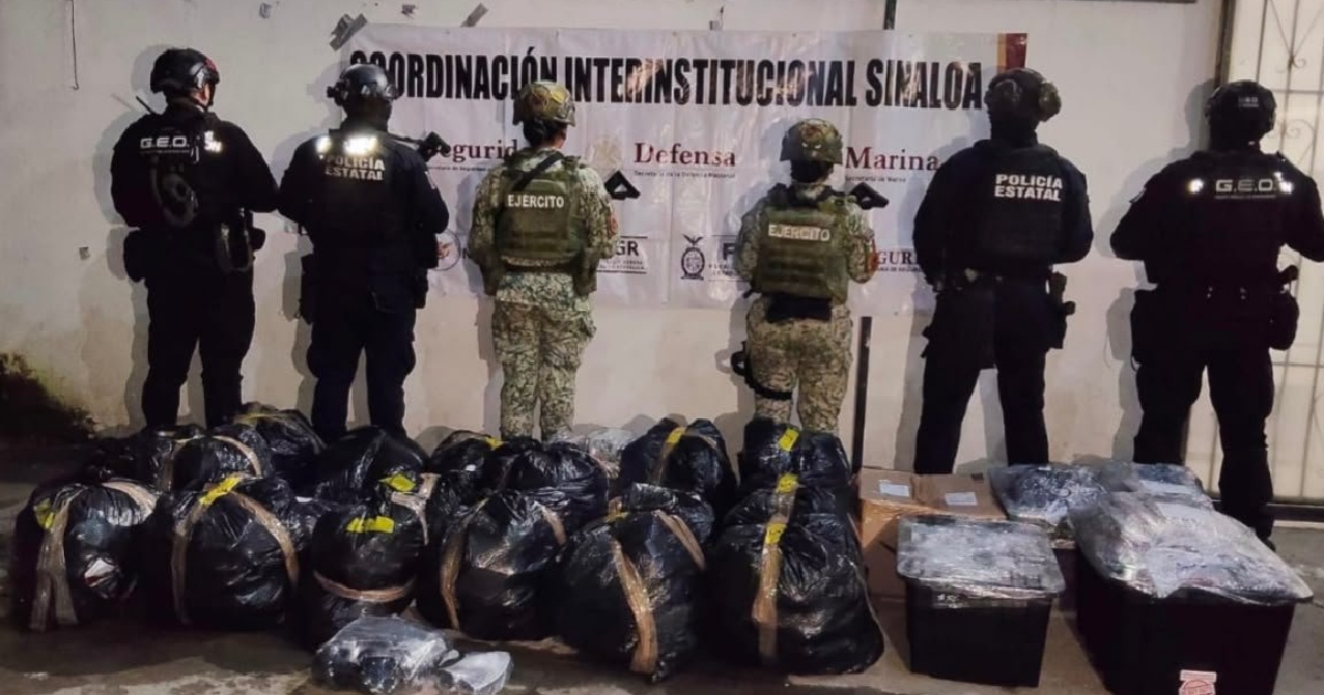 Elementos de seguridad de espaladas con cajas y bolsas negras en sus pies