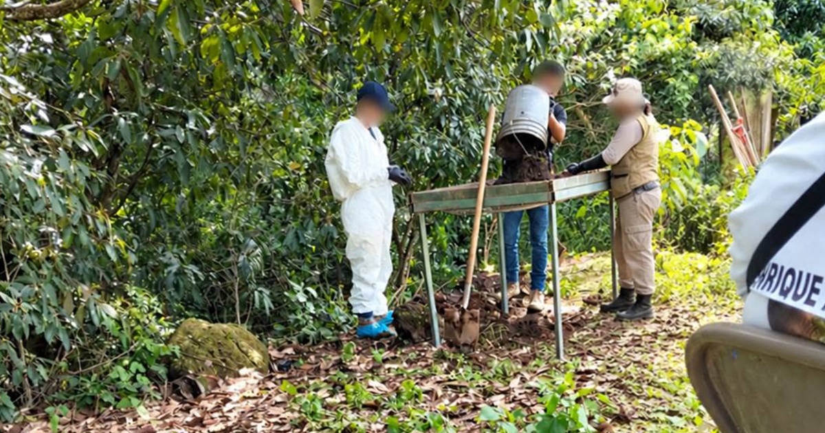 Fiscalía de Nayarit está cargo de la investigación de presunto campo de exterminio en el municipio de Xalisco: CNB