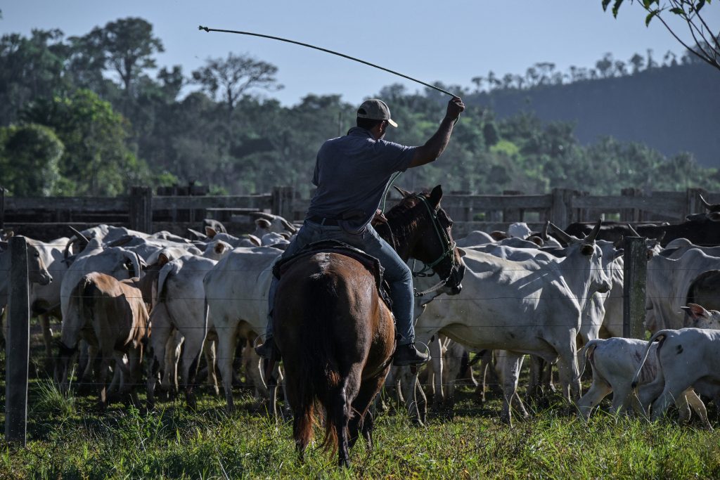 Productores de carne en Brasil
