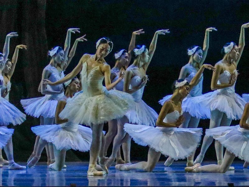 El lago de los cisnes regresa con diferente interpretación