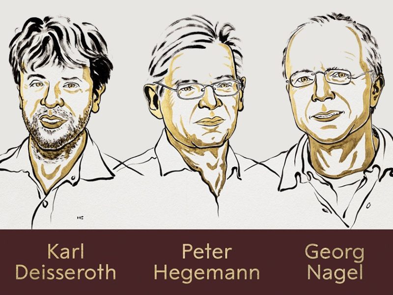 El Nobel de Medicina 2026 premia a tres científicos que investigan la actividad cerebral