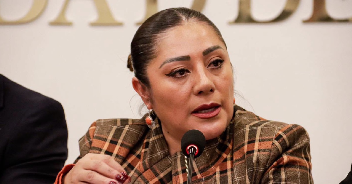 Xóchitl Bravo coordinadora Morena