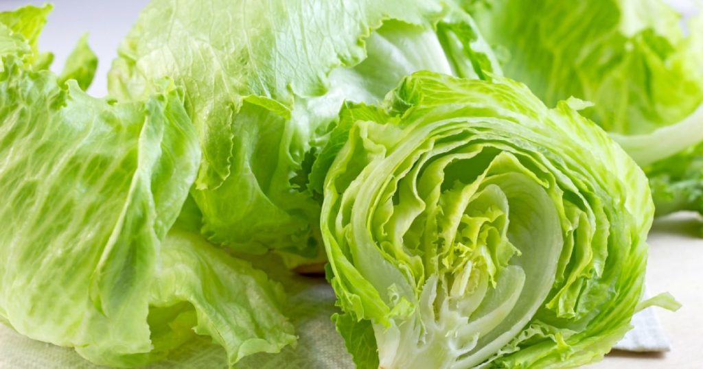 Salud niega que lechuga mexicana causara brote de Cyclospora en EU, tras informe de FDA