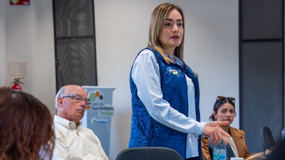 Con el objetivo de facilitar la evaluación de la reciclabilidad de los envases plásticos, la Asociación de Recicladores de Plástico (APR, por sus siglas en inglés) lanzó la APR Design®️ Assessment Tool, una herramienta digital desarrollada junto con la empresa alemana Recyda.