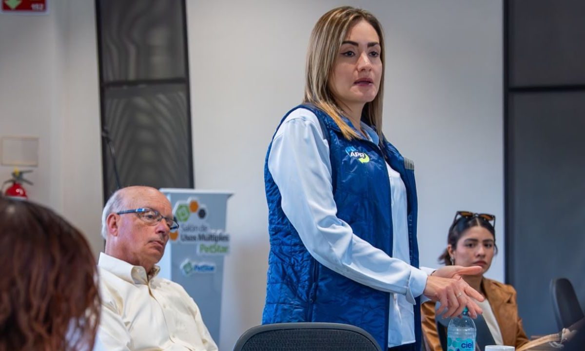 Con el objetivo de facilitar la evaluación de la reciclabilidad de los envases plásticos, la Asociación de Recicladores de Plástico (APR, por sus siglas en inglés) lanzó la APR Design®️ Assessment Tool, una herramienta digital desarrollada junto con la empresa alemana Recyda.