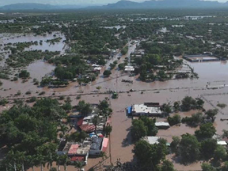 Daños por el huracán Polo ponen en riesgo 3 mil toneladas de carne en Sonora