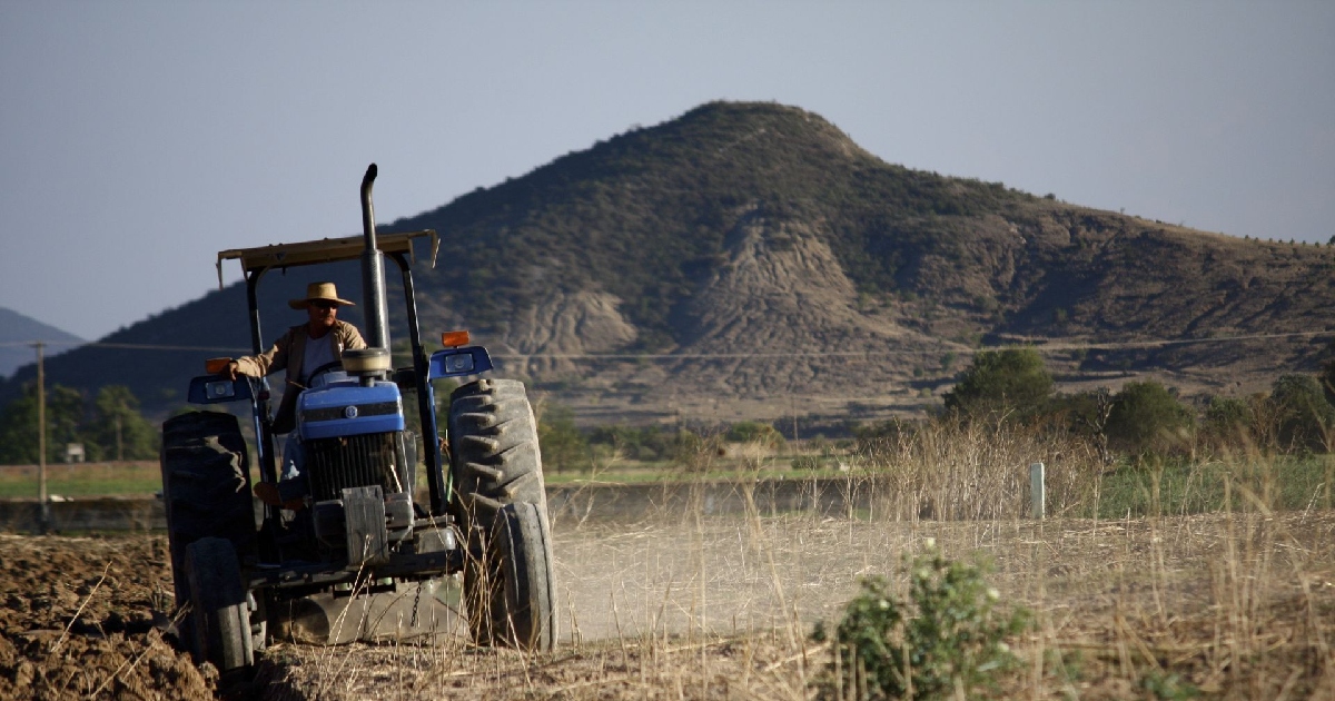 A la izquierda un hombre un tractor color azul circulando sobre un terreno plano y árido, al fondo se observa una montaña algo seca.