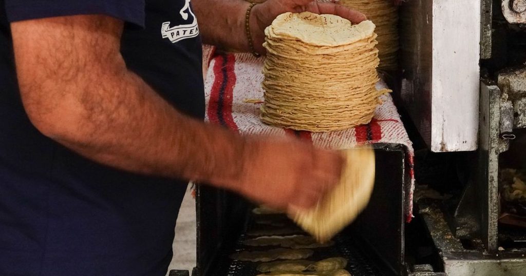 Tortillería en CDMX | Foto: Camila Ayala Benabib / Cuartoscuro
